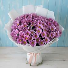 Букет цветов из:  Хризантемы в Сватково