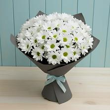 Букет цветов из:  Хризантемы в Сватково