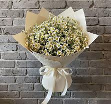 Букет цветов из:  Ромашки в Сватково