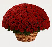 Премиум букет из: Розы в Сватково