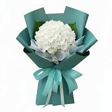 Букет цветов из:  Гортензия #REPLACE_PRED# Сватково